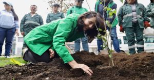 Bogotá celebra el Día Nacional del Árbol con 200 plantaciones.