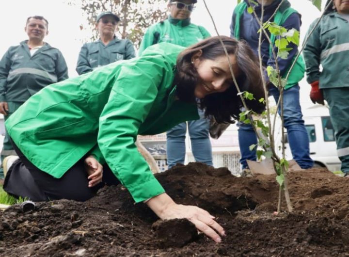 Bogotá celebra el Día Nacional del Árbol con 200 plantaciones.