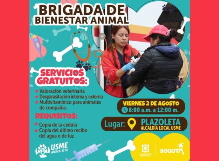 Jornada de bienestar animal en Usme.