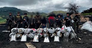 4 capturados por aprovechamiento ilícito de recursos y deforestación en Bogotá.