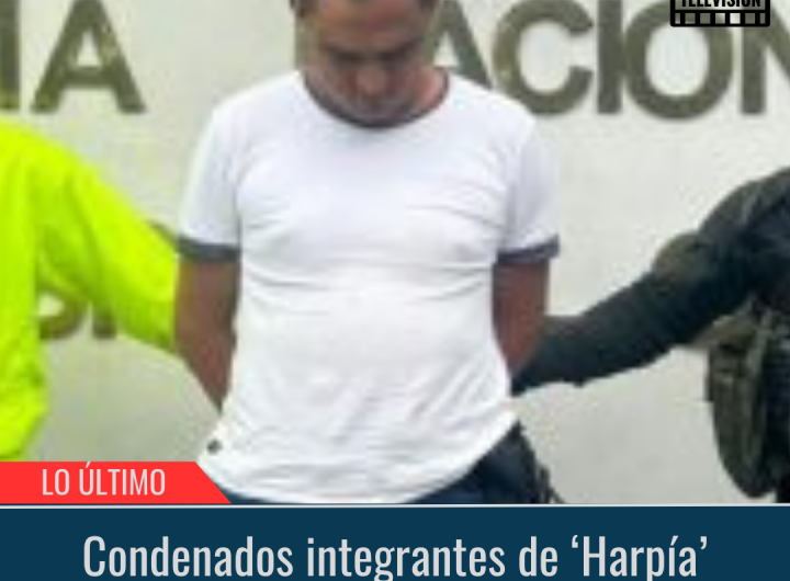 Condenados integrantes de ‘Harpía’.