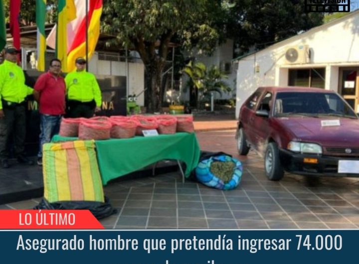 Asegurado hombre que pretendía ingresar 74.000 gramos de marihuana.