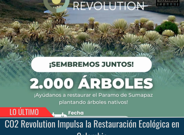 CO2 Revolution Impulsa la Restauración Ecológica en Colombia.