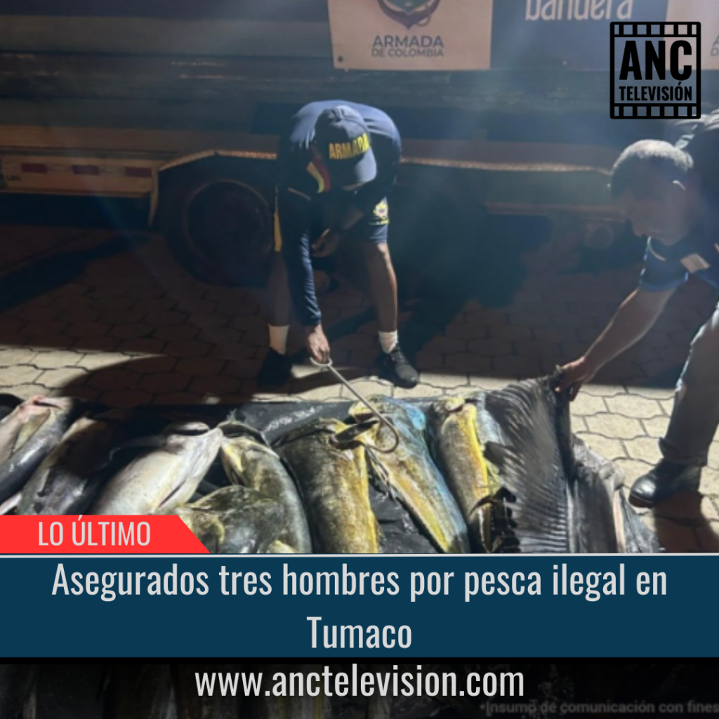 Asegurados tres hombres por pesca ilegal en Tumaco.