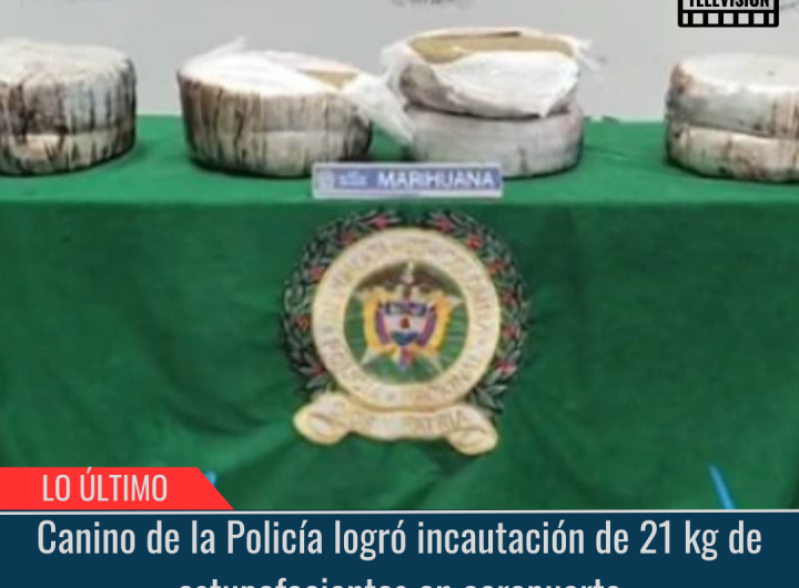 Canino de la Policía logró incautación de 21 kg de estupefacientes.