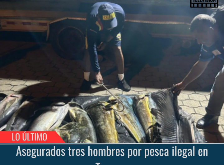 Asegurados tres hombres por pesca ilegal en Tumaco.