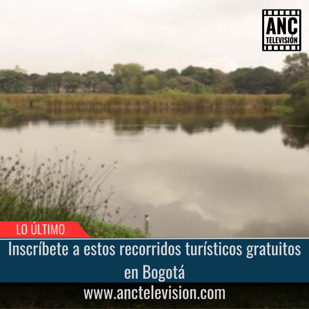 Inscríbete a estos recorridos turísticos gratuitos en Bogotá.