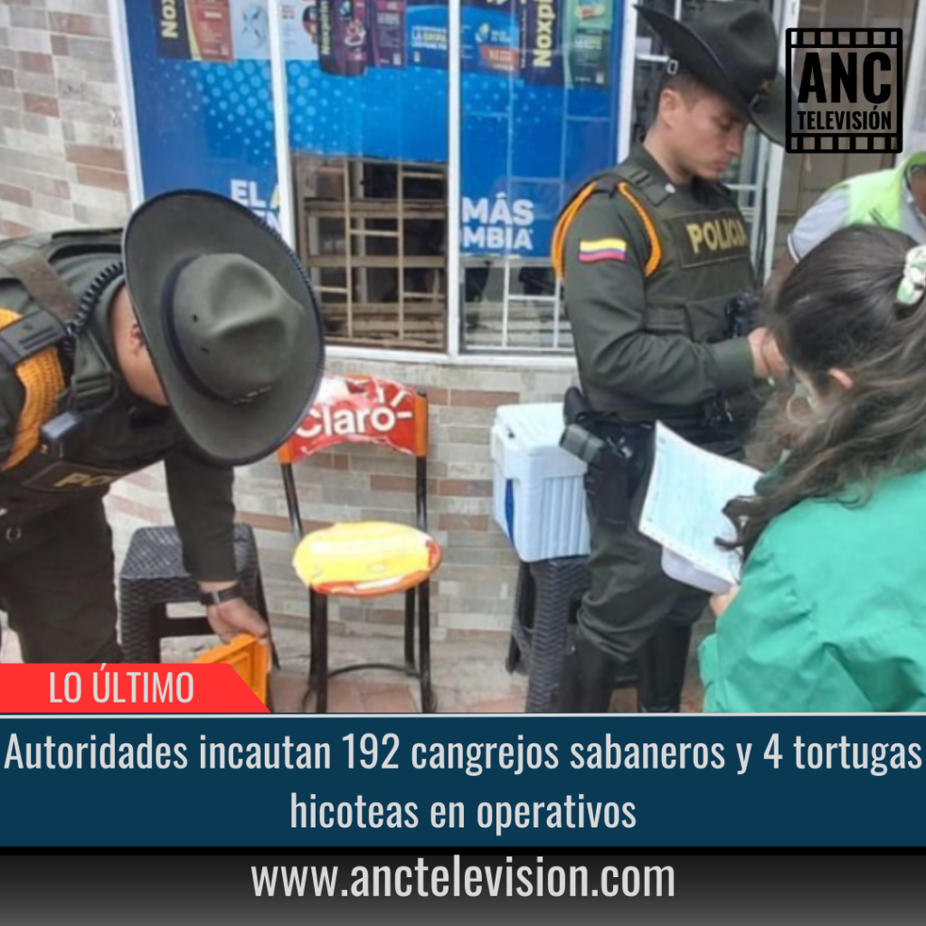 Autoridades incautan 192 cangrejos sabaneros y 4 tortugas hicoteas.