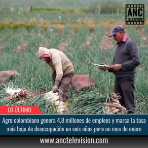 Agro colombiano genera 4,8 millones de empleos.