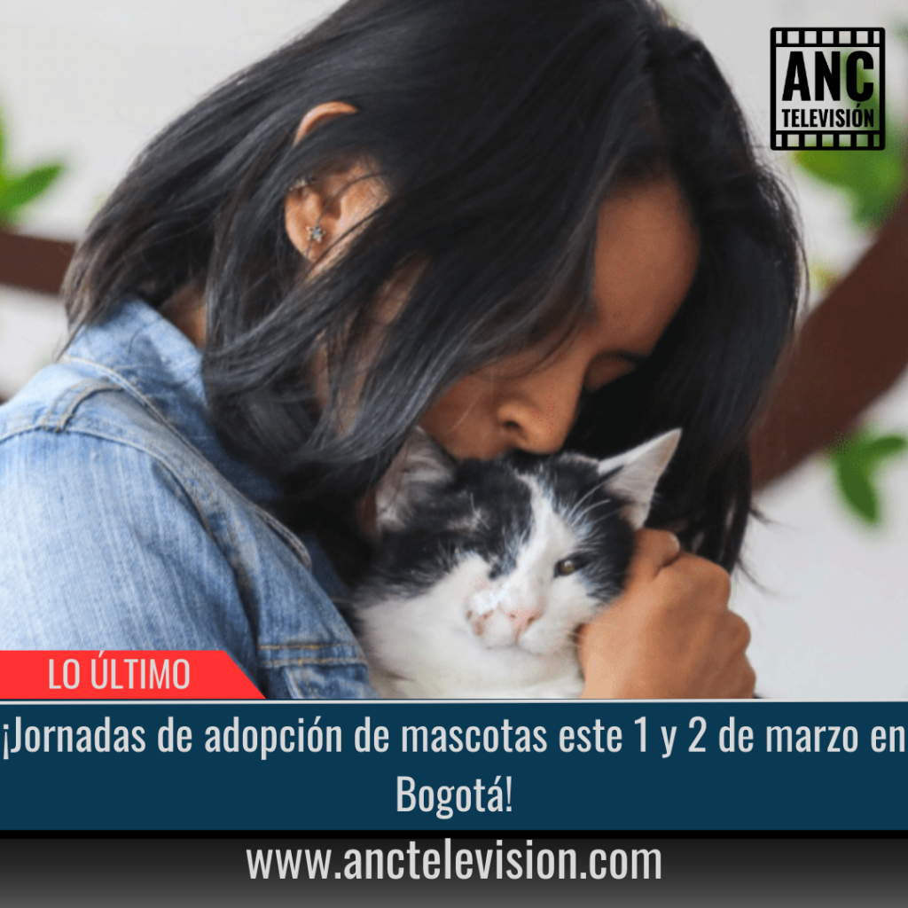 Jornadas de adopción de mascotas.