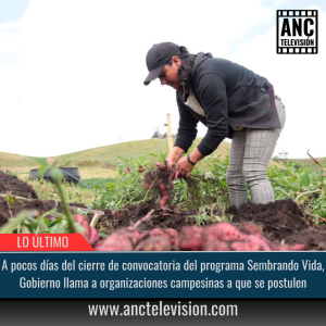 Programa Sembrando Vida.