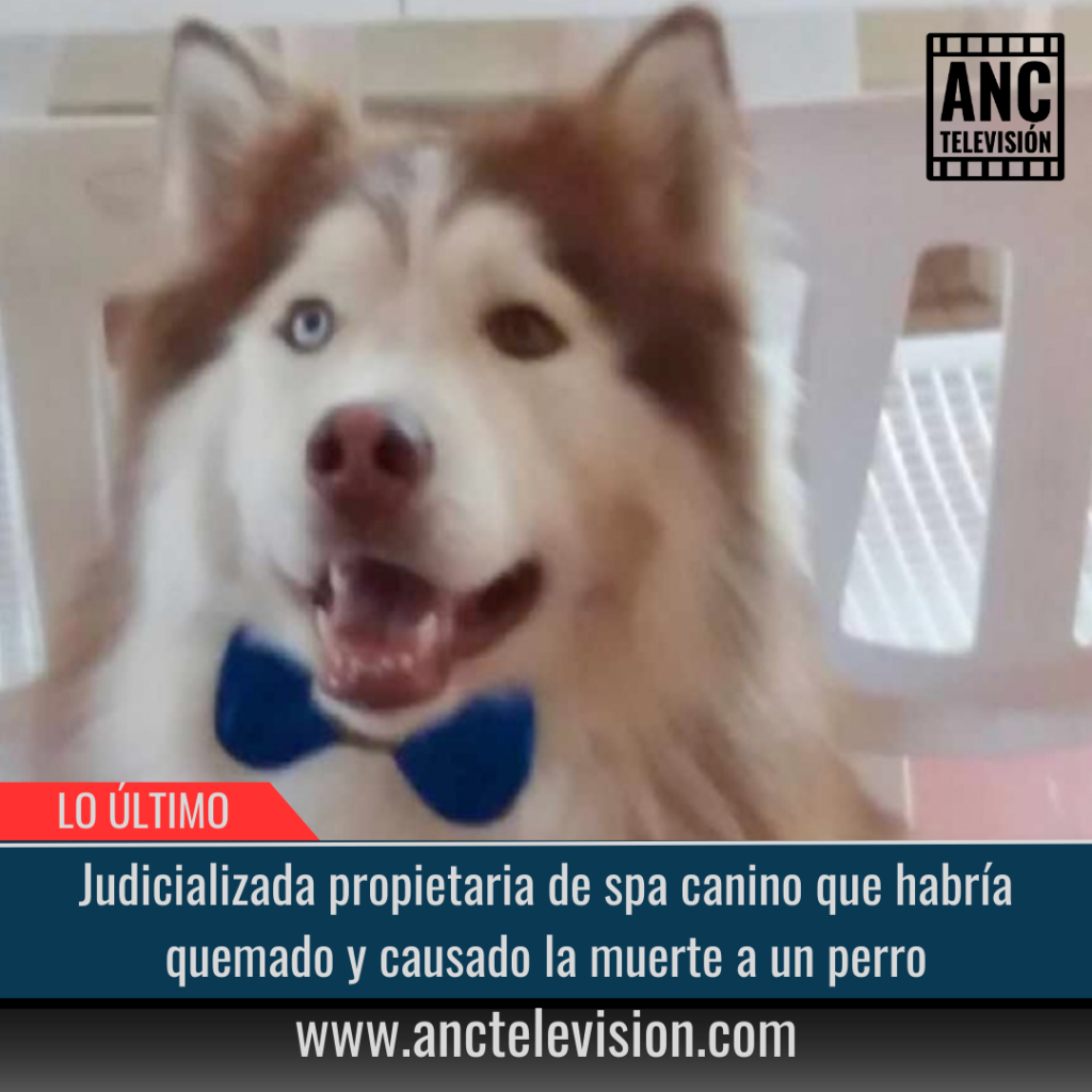 Judicializada propietaria de spa canino.