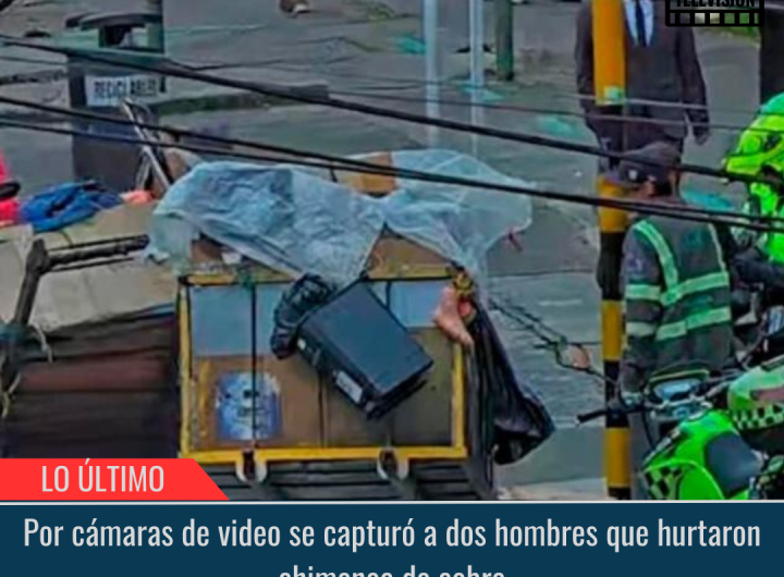 Dos hombres que hurtaron chimenea de cobre.