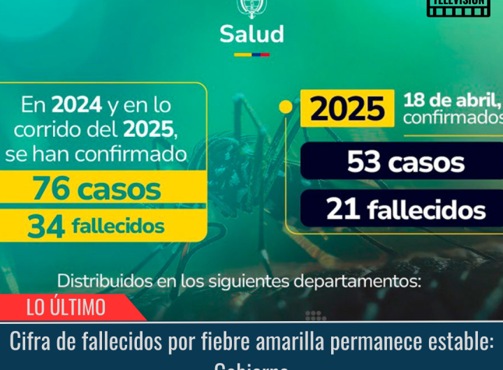 Cifra de fallecidos por fiebre amarilla permanece estable.