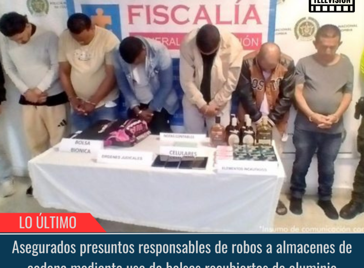 Bolsas recubiertas de aluminio.