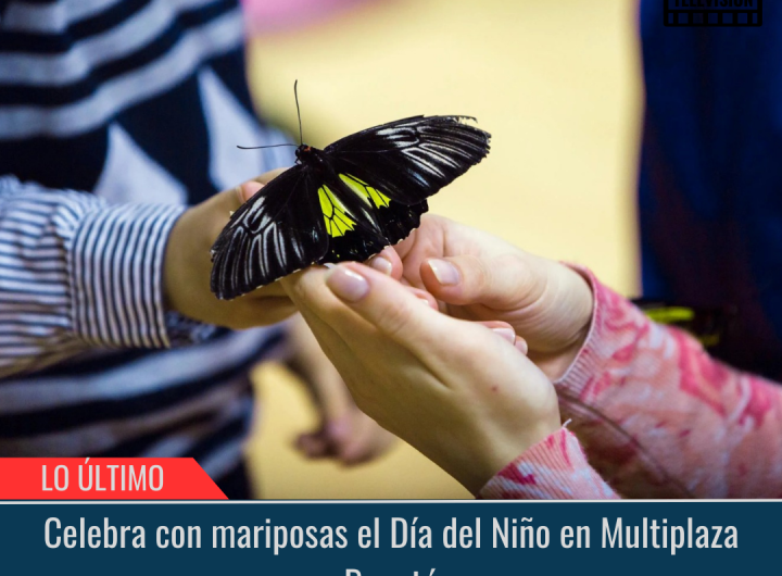 Celebra con mariposas el Día del Niño.
