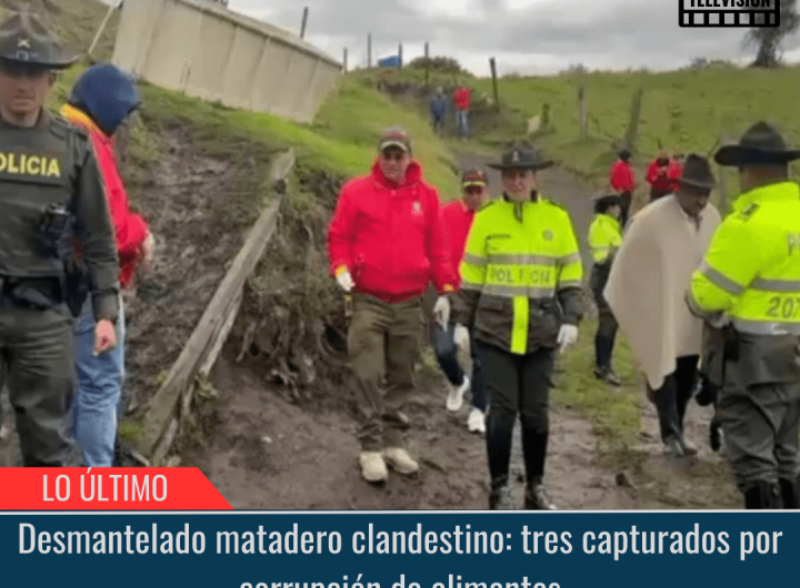 Desmantelado matadero clandestino.