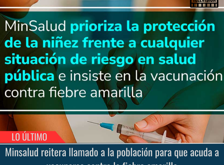 Vacunarse contra la fiebre amarilla.