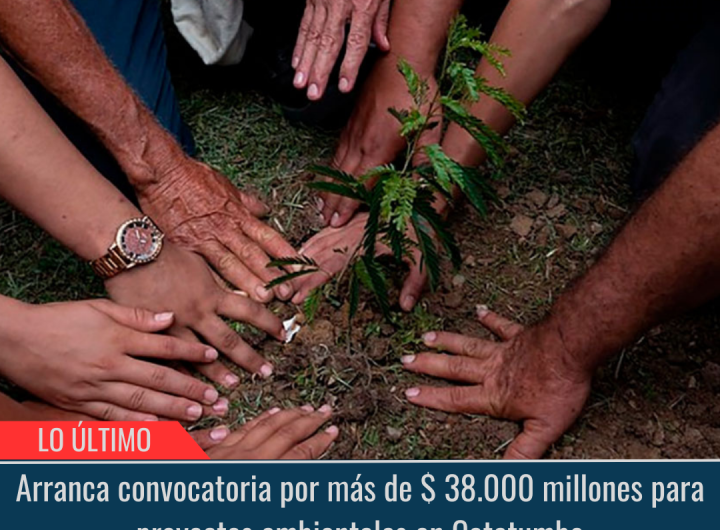 Proyectos ambientales en Catatumbo.