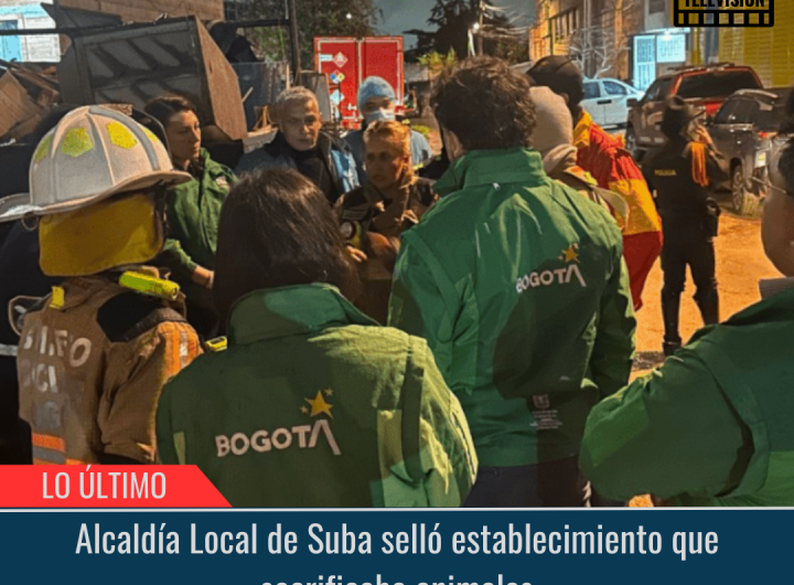 Alcaldía Local de Suba selló establecimiento que sacrificaba animales.