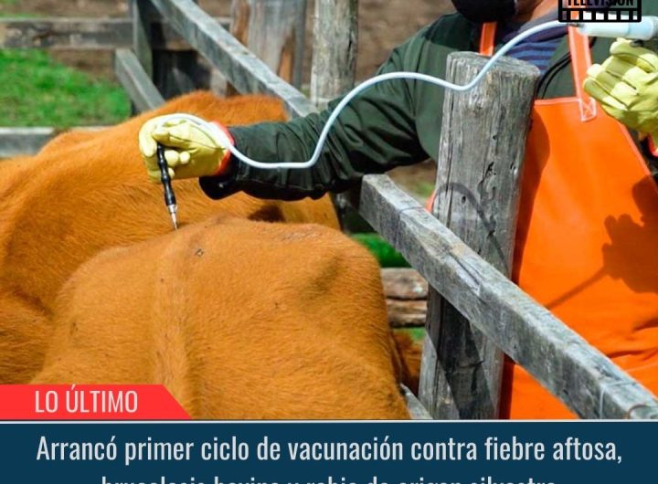 Arrancó primer ciclo de vacunación.
