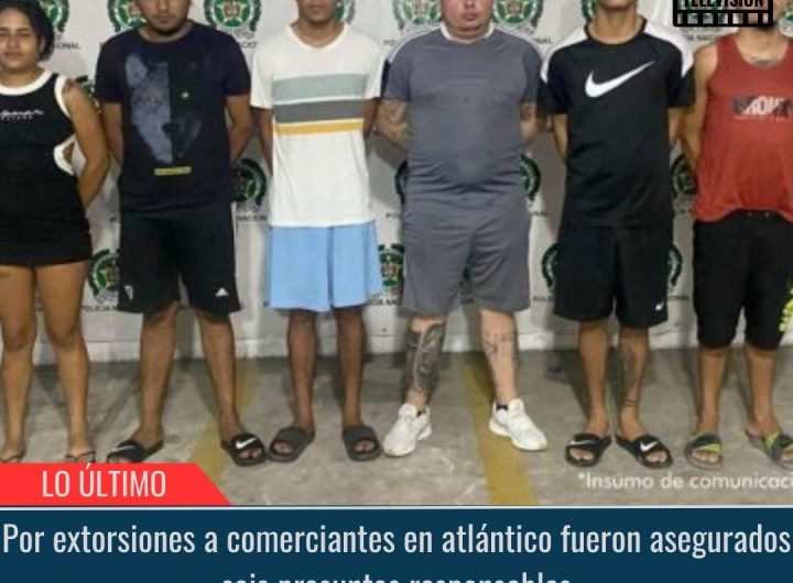 Asegurados seis presuntos responsables.