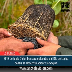 Día de Lucha contra la Desertificación y la Sequía.