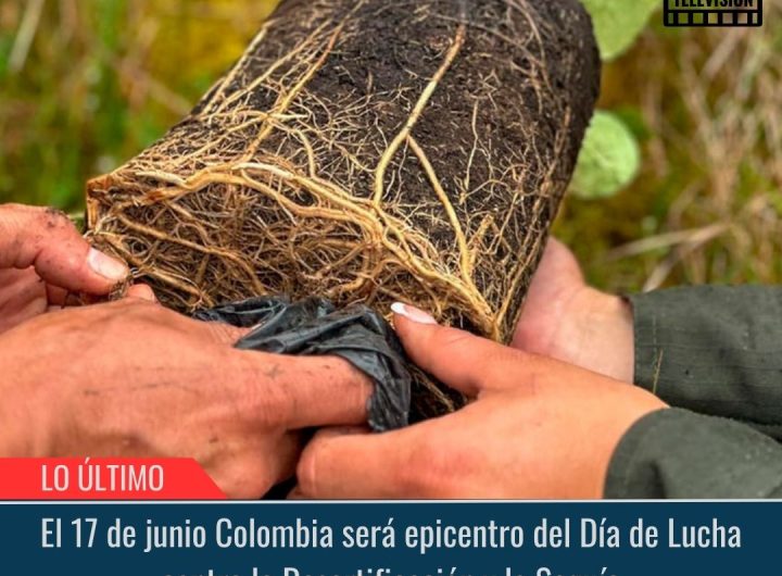 Día de Lucha contra la Desertificación y la Sequía.