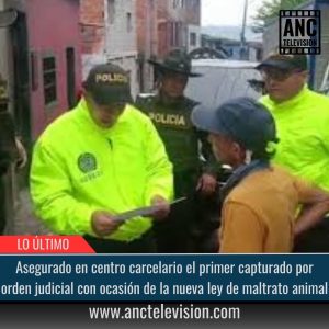Nueva ley de maltrato animal.