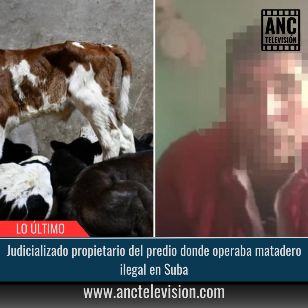 Matadero ilegal en Suba.