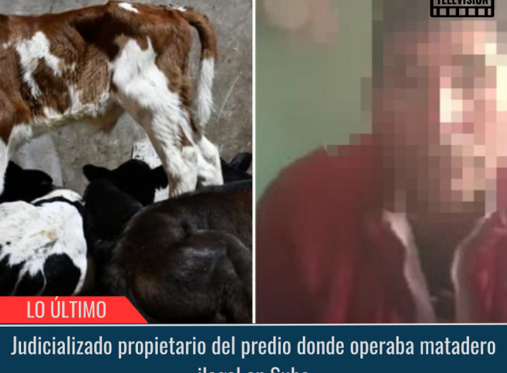 Matadero ilegal en Suba.