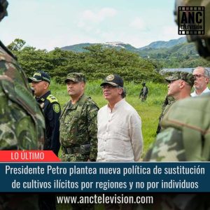 Sustitución de cultivos ilícitos.