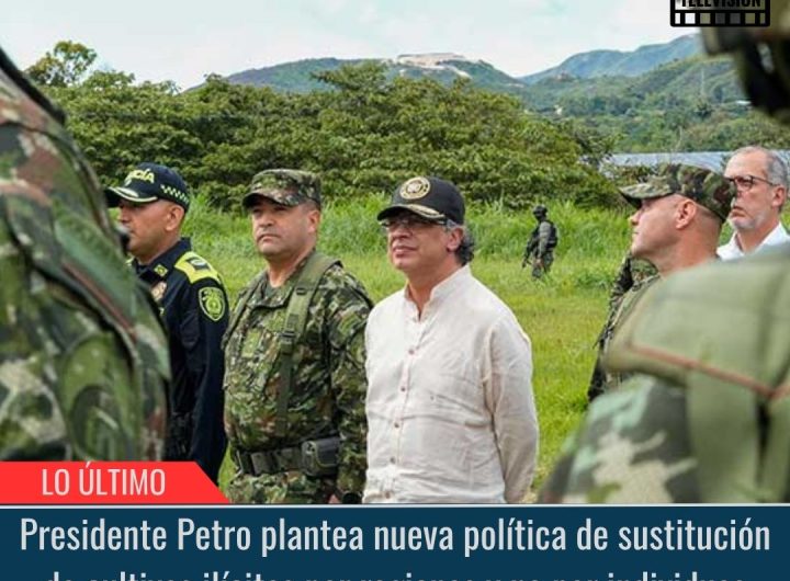 Sustitución de cultivos ilícitos.