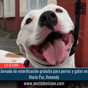 Jornada de esterilización gratuita.
