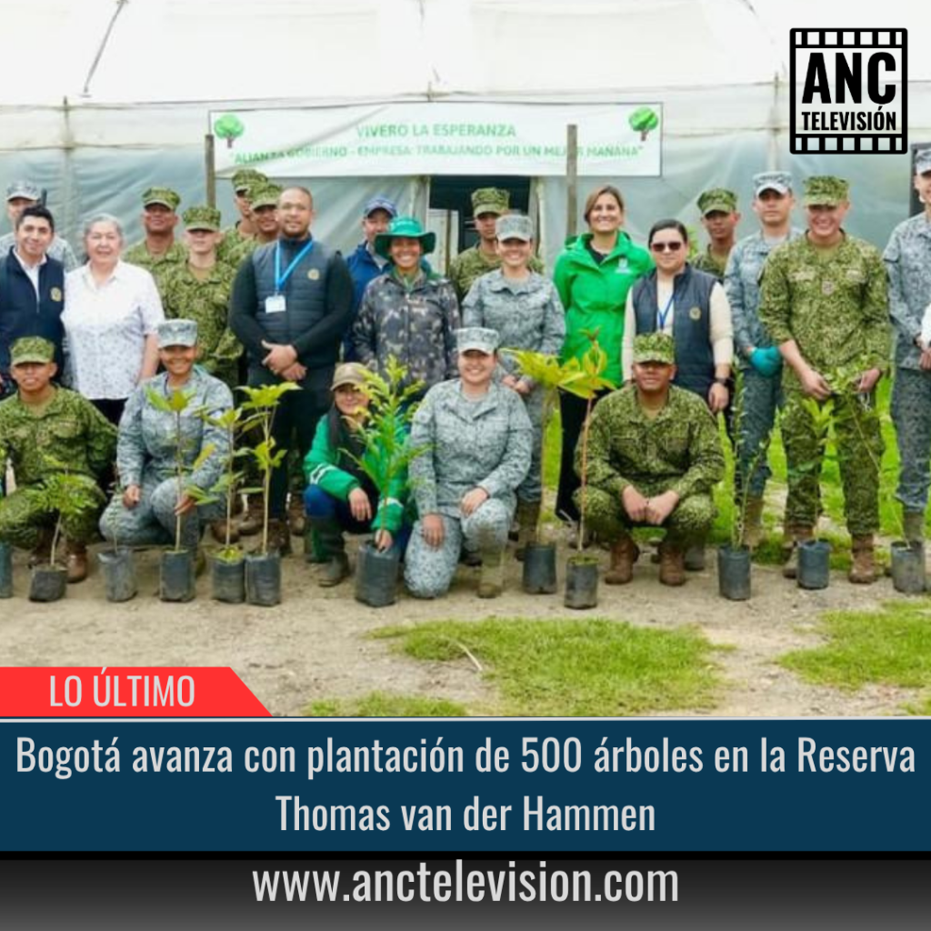 500 árboles en la Reserva Thomas van der Hammen.