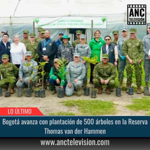 500 árboles en la Reserva Thomas van der Hammen.