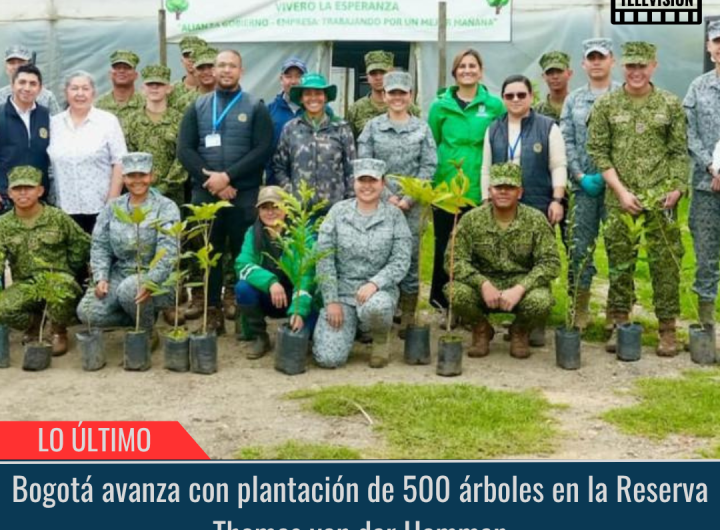 500 árboles en la Reserva Thomas van der Hammen.