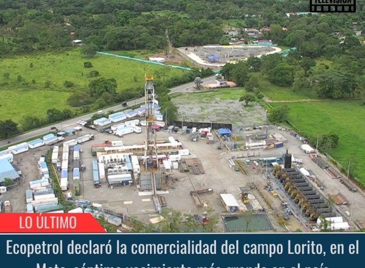 Ecopetrol declaró la comercialidad del campo Lorito.
