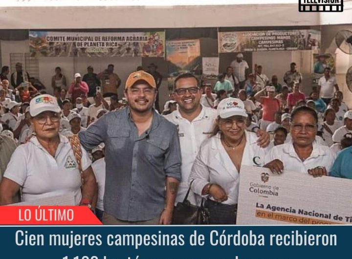 1.162 hectáreas para sembrar paz.