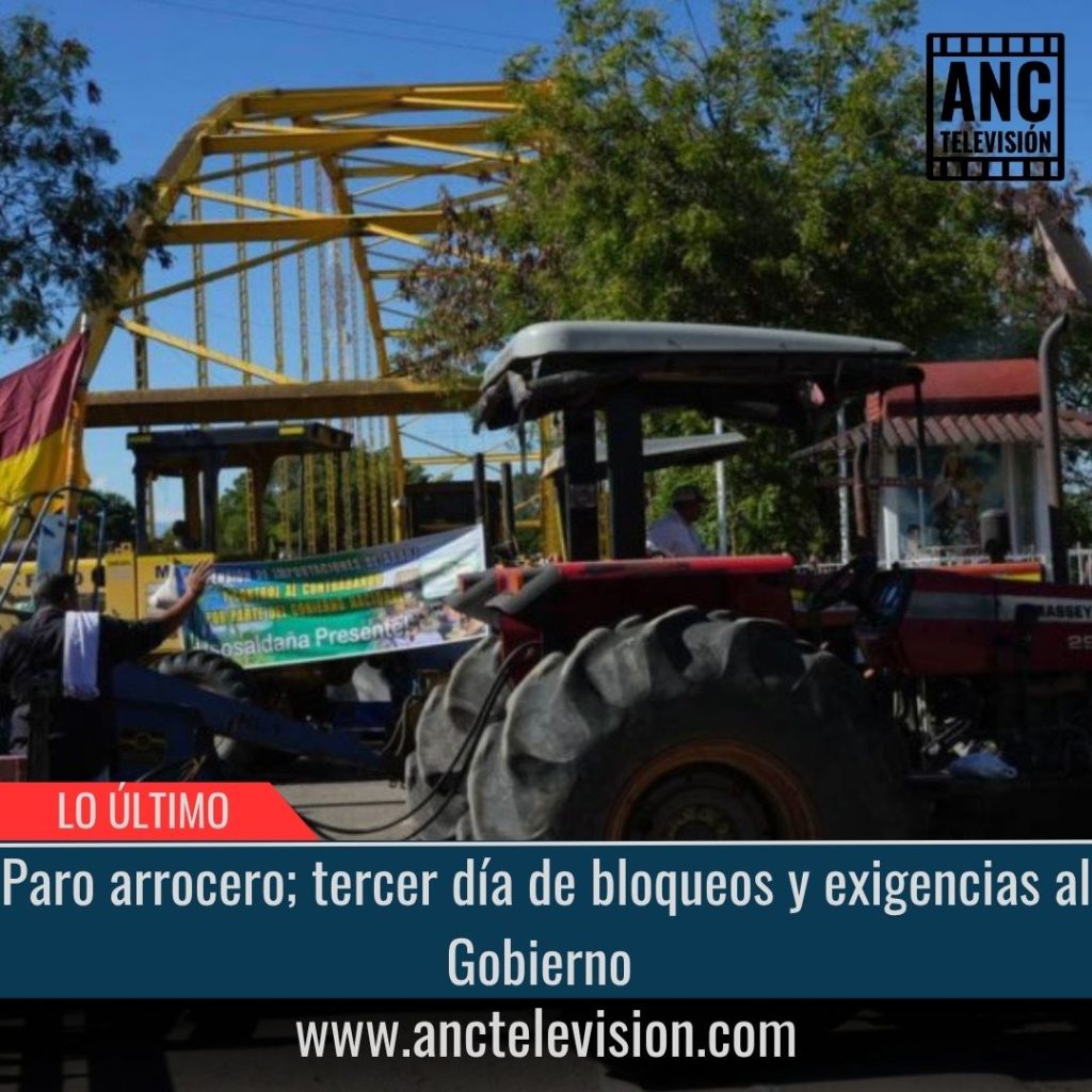 Paro arrocero.