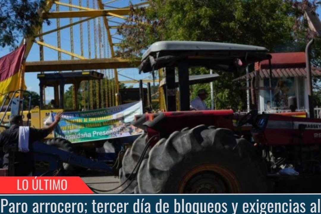 Paro arrocero.