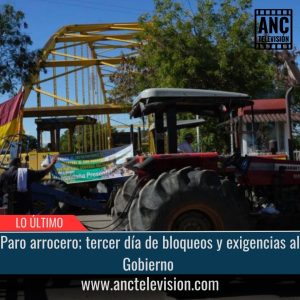 Paro arrocero.
