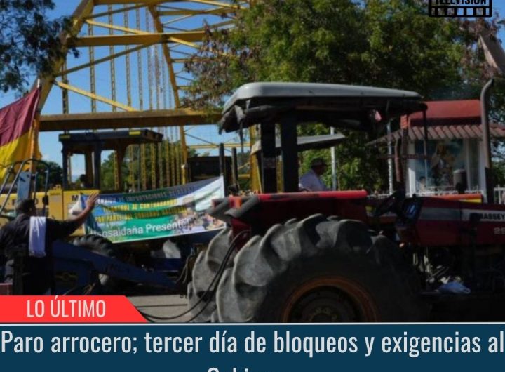 Paro arrocero.