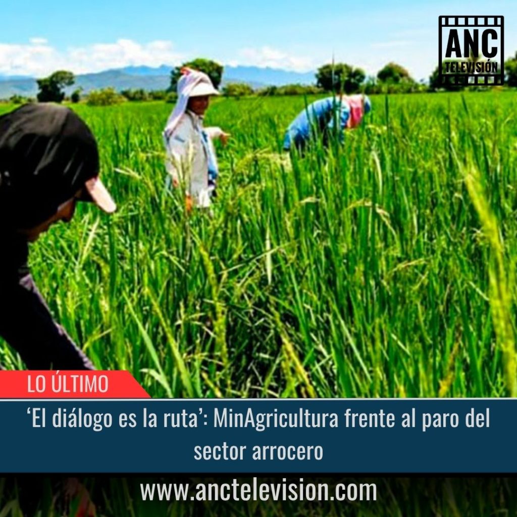 Paro del sector arrocero.