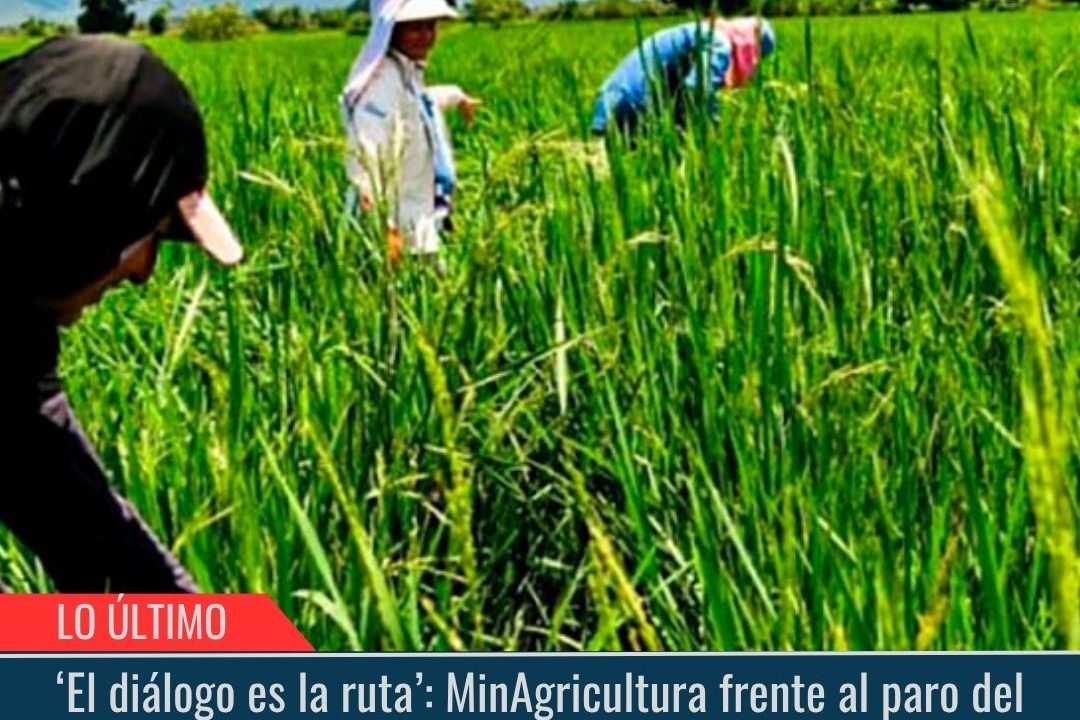 Paro del sector arrocero.