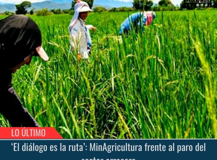 Paro del sector arrocero.
