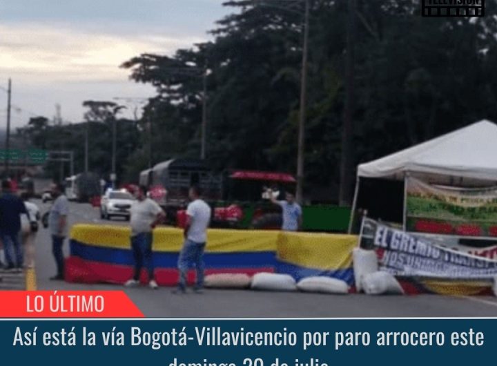 Paro arrocero.
