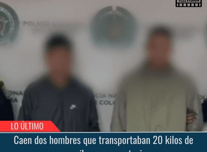 Transportaban 20 kilos de marihuana.