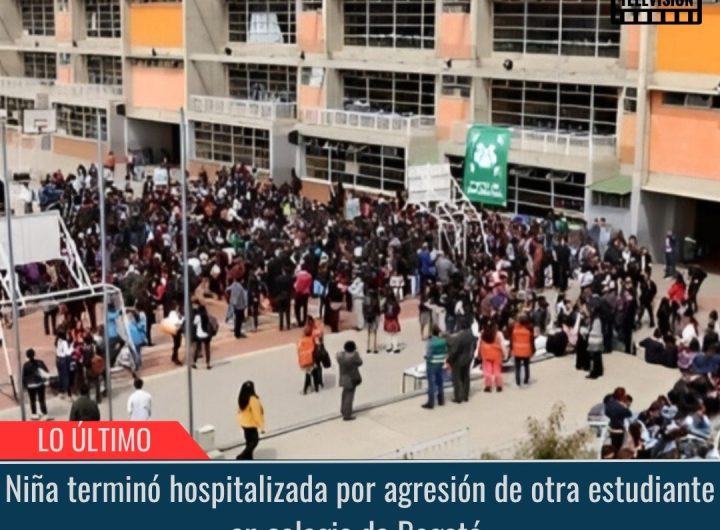 Niña terminó hospitalizada.