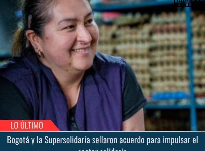 Impulsar el sector solidario.